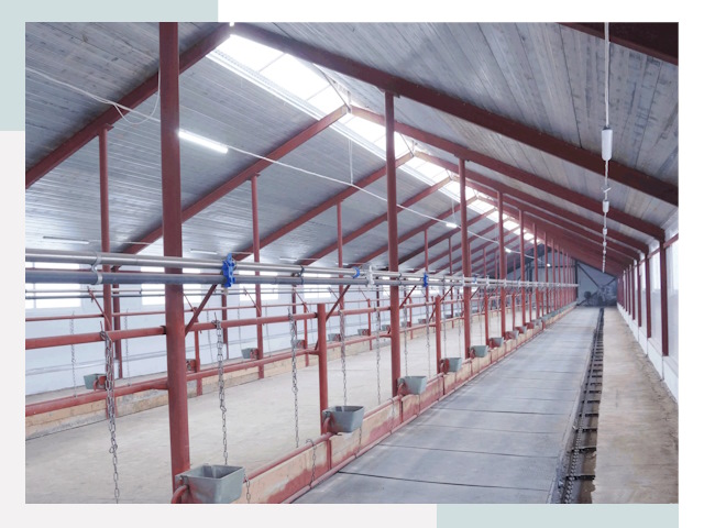 Строительство коровников в Железногорске от 613 руб.