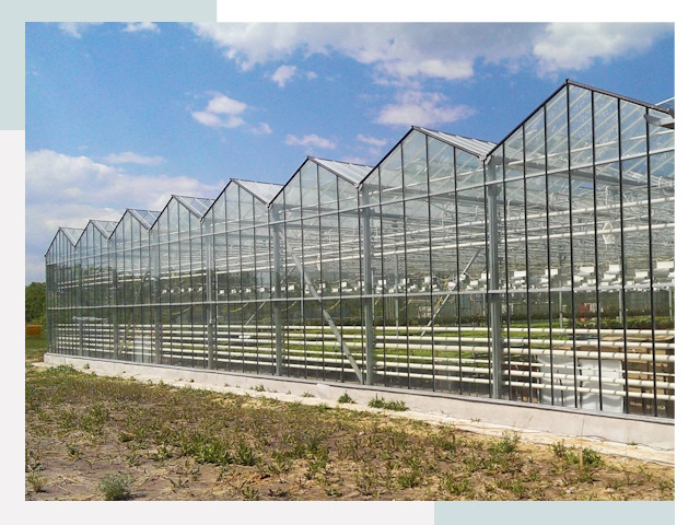 Строительство теплиц в Железногорск от 613 руб. за м²