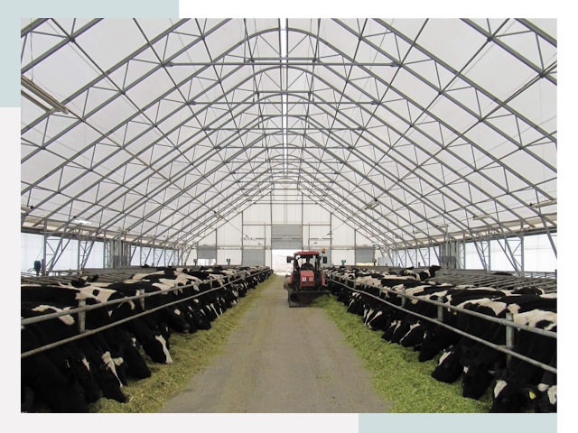 Тентовые коровники в Железногорске от 613 руб. - Надежно и доступно